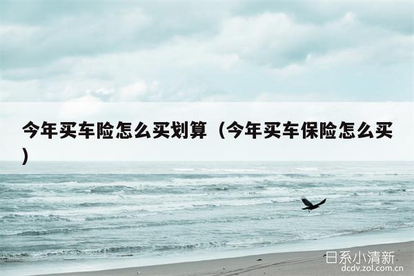 今年买车险怎么买划算（今年买车保险怎么买）