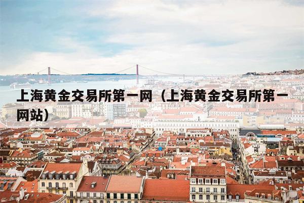 上海黄金交易所第一网（上海黄金交易所第一网站）