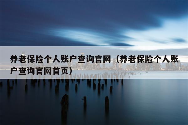 养老保险个人账户查询官网（养老保险个人账户查询官网首页）