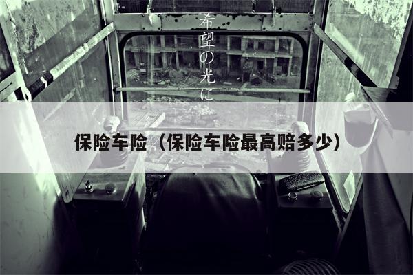保险车险（保险车险最高赔多少）