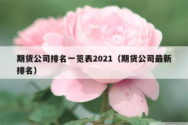 期货公司排名一览表2021（期货公司最新排名）