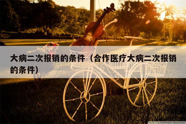 大病二次报销的条件（合作医疗大病二次报销的条件）
