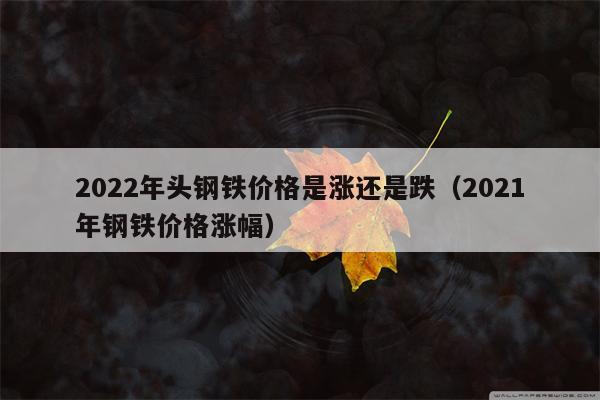 2022年头钢铁价格是涨还是跌（2021年钢铁价格涨幅）