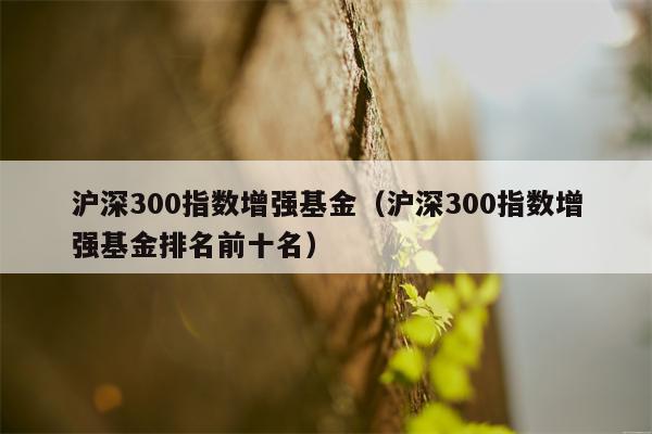 沪深300指数增强基金（沪深300指数增强基金排名前十名）