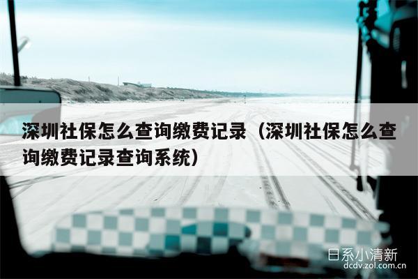 深圳社保怎么查询缴费记录（深圳社保怎么查询缴费记录查询系统）