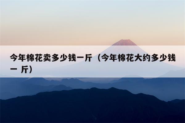 今年棉花卖多少钱一斤（今年棉花大约多少钱一 斤）
