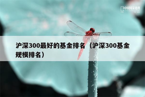 沪深300最好的基金排名（沪深300基金规模排名）