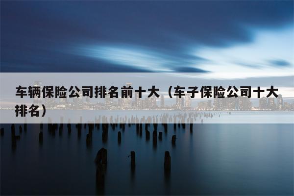 车辆保险公司排名前十大（车子保险公司十大排名）