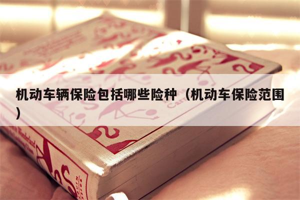 机动车辆保险包括哪些险种（机动车保险范围）