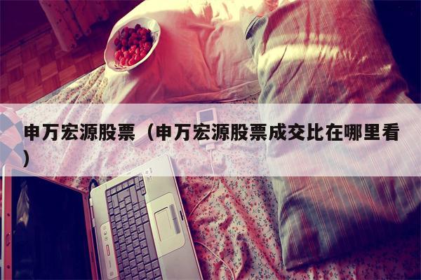 申万宏源股票（申万宏源股票成交比在哪里看）