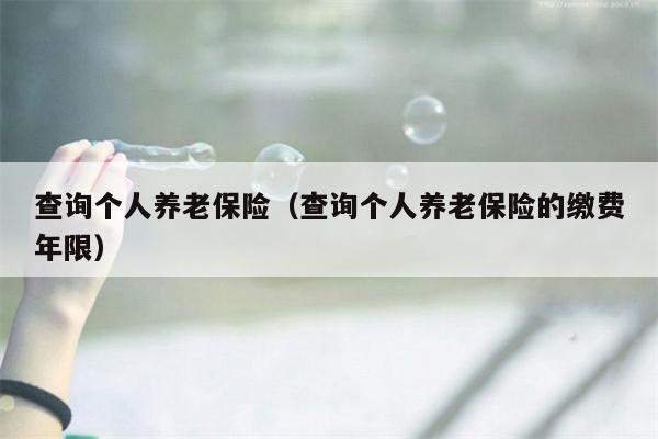 查询个人养老保险（查询个人养老保险的缴费年限）