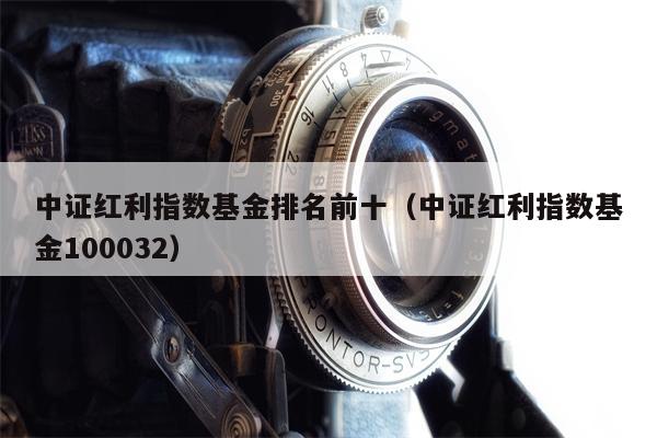 中证红利指数基金排名前十（中证红利指数基金100032）