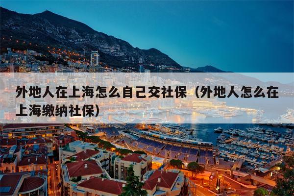 外地人在上海怎么自己交社保（外地人怎么在上海缴纳社保）