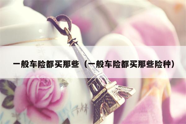 一般车险都买那些（一般车险都买那些险种）
