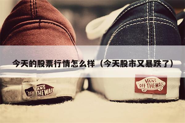 今天的股票行情怎么样（今天股市又暴跌了）