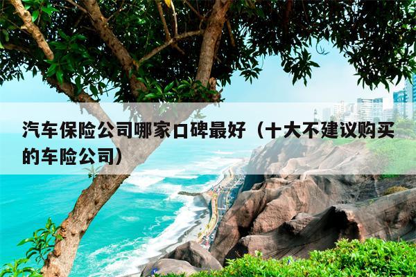 汽车保险公司哪家口碑最好（十大不建议购买的车险公司）