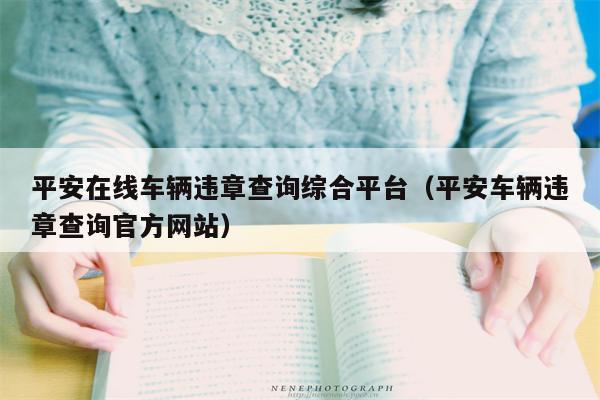 平安在线车辆违章查询综合平台（平安车辆违章查询官方网站）