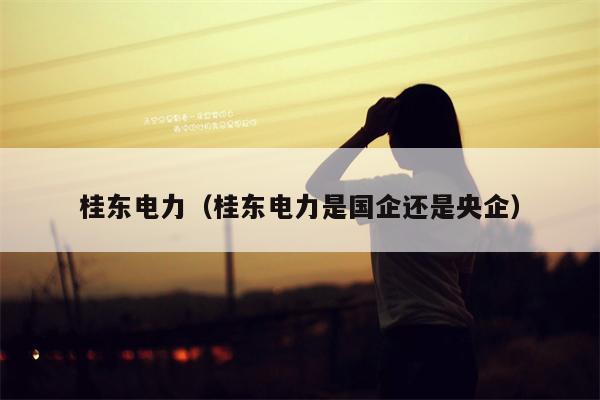 桂东电力（桂东电力是国企还是央企）