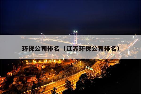 环保公司排名（江苏环保公司排名）