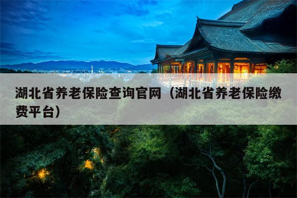 湖北省养老保险查询官网（湖北省养老保险缴费平台）