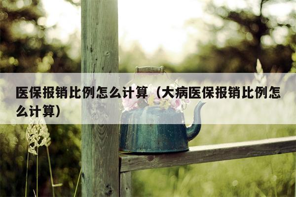 医保报销比例怎么计算（大病医保报销比例怎么计算）