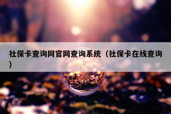 社保卡查询网官网查询系统（社保卡在线查询）