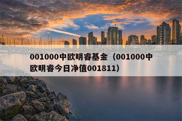 001000中欧明睿基金（001000中欧明睿今日净值001811）