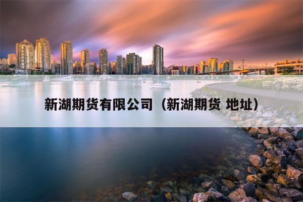 新湖期货有限公司（新湖期货 地址）