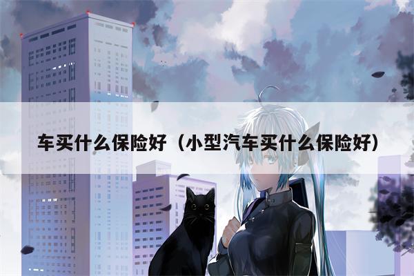 车买什么保险好（小型汽车买什么保险好）