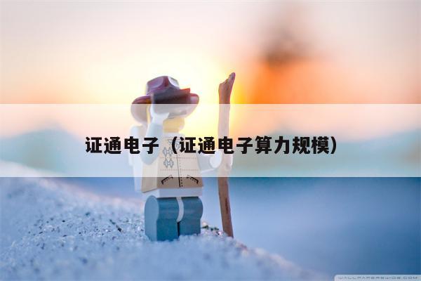 证通电子（证通电子算力规模）