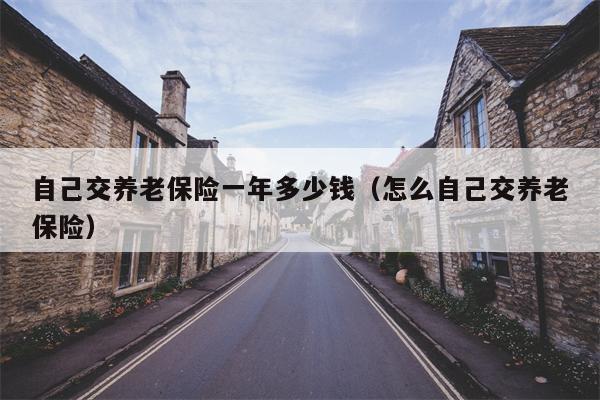 自己交养老保险一年多少钱（怎么自己交养老保险）