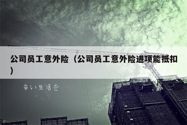 公司员工意外险（公司员工意外险进项能抵扣）