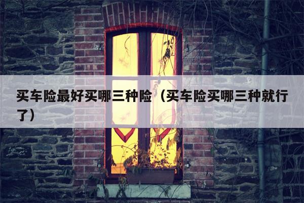 买车险最好买哪三种险（买车险买哪三种就行了）