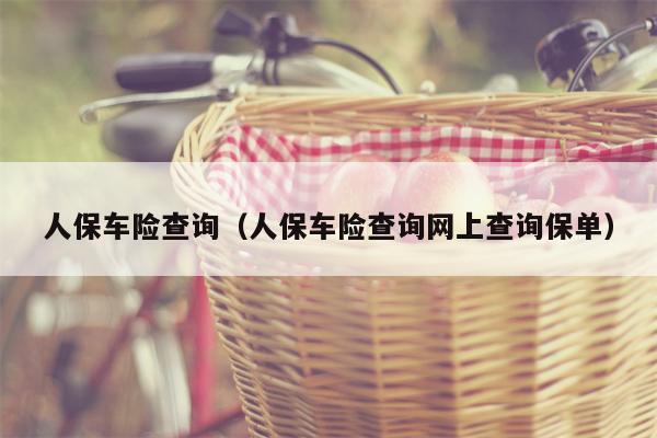人保车险查询（人保车险查询网上查询保单）