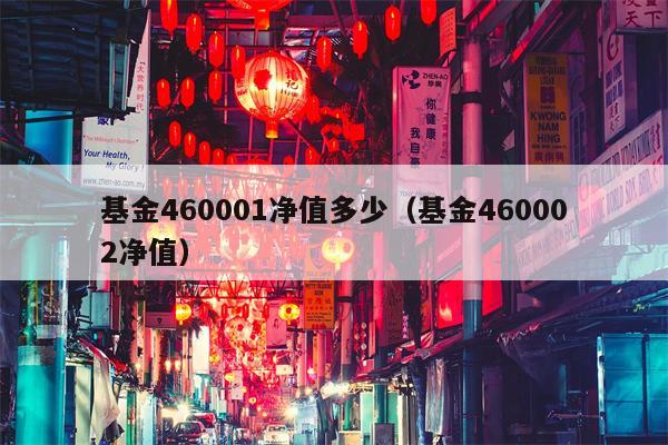 基金460001净值多少（基金460002净值）