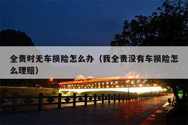 全责时无车损险怎么办（我全责没有车损险怎么理赔）
