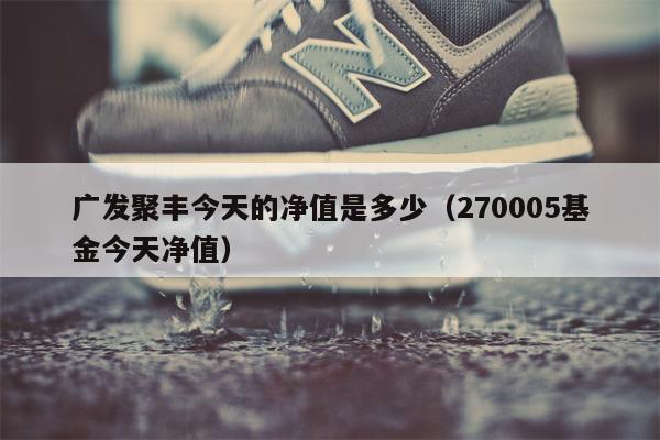 广发聚丰今天的净值是多少（270005基金今天净值）