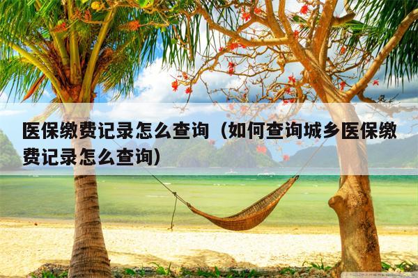 医保缴费记录怎么查询（如何查询城乡医保缴费记录怎么查询）
