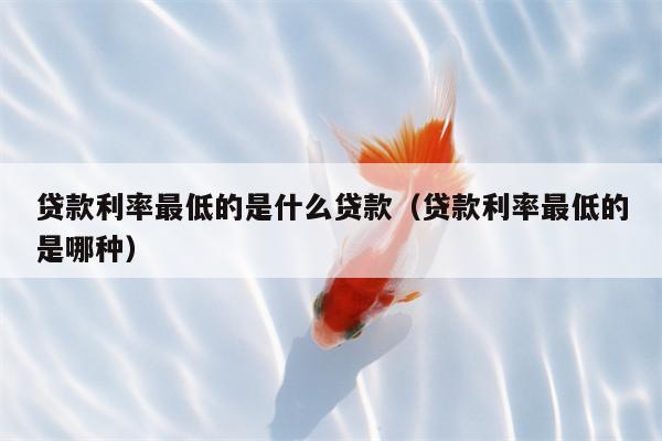 贷款利率最低的是什么贷款（贷款利率最低的是哪种）