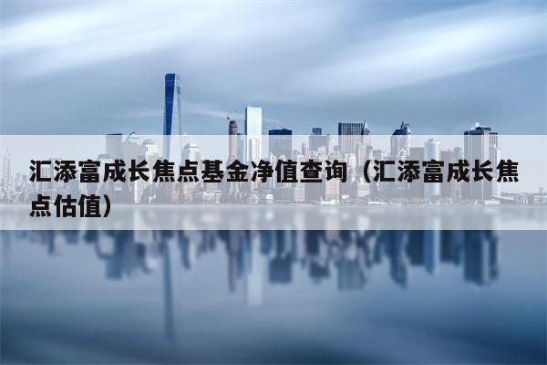 汇添富成长焦点基金净值查询（汇添富成长焦点估值）