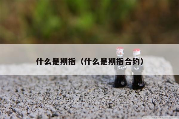 什么是期指（什么是期指合约）