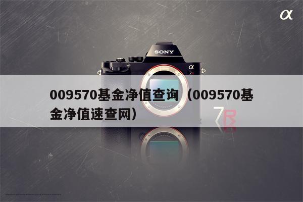 009570基金净值查询（009570基金净值速查网）