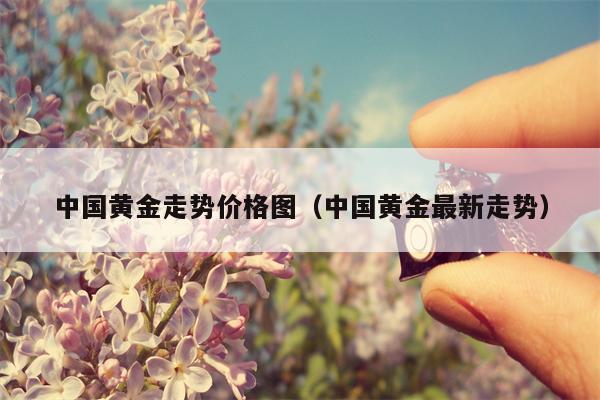 中国黄金走势价格图（中国黄金最新走势）