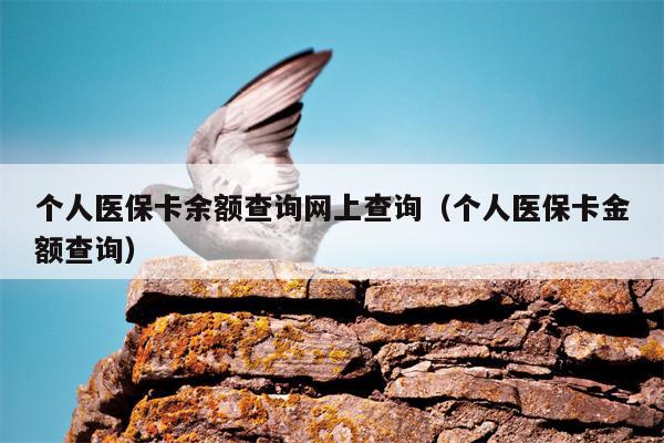 个人医保卡余额查询网上查询（个人医保卡金额查询）