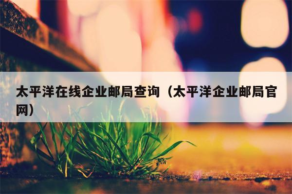 太平洋在线企业邮局查询（太平洋企业邮局官网）