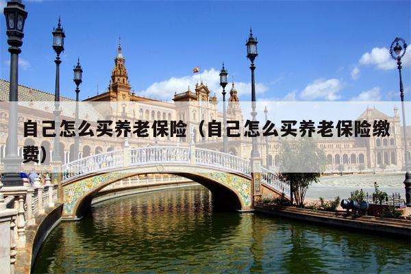 自己怎么买养老保险（自己怎么买养老保险缴费）