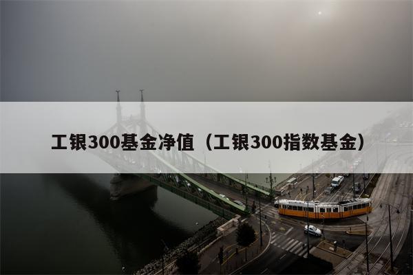 工银300基金净值（工银300指数基金）