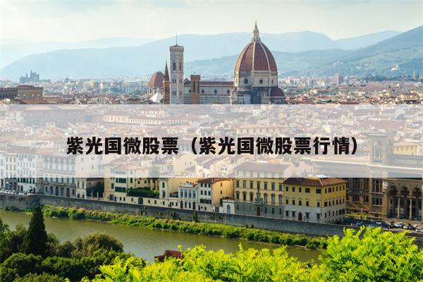 紫光国微股票（紫光国微股票行情）