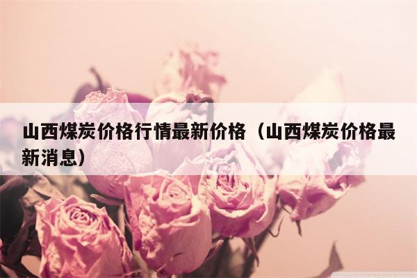 山西煤炭价格行情最新价格（山西煤炭价格最新消息）