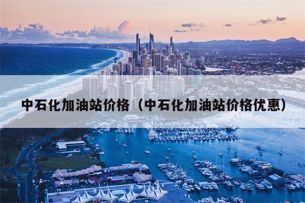 中石化加油站价格（中石化加油站价格优惠）